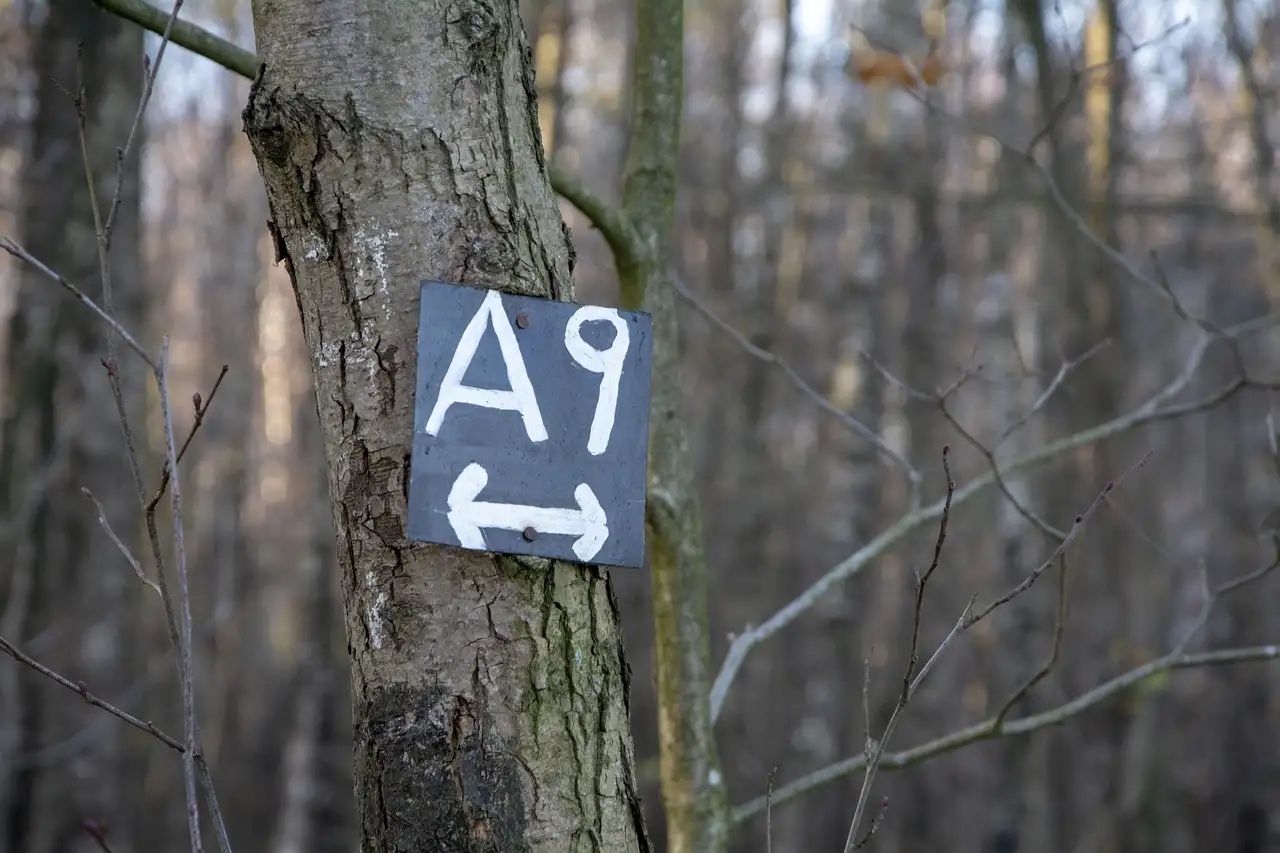 Amiko A9 Red handleiding: Installatie en gebruik