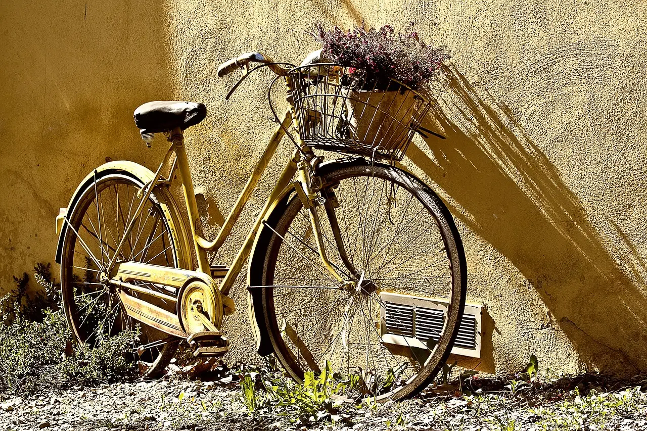 Batavus Padova Easy handleiding: Gebruik en onderhoud